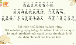 1775222506141.png 1775222506141.png