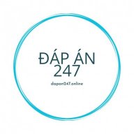 dapan247.online