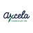 axcelavietnam